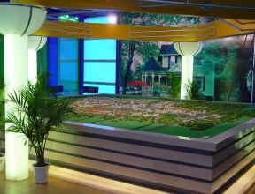 東壩集團總體規劃